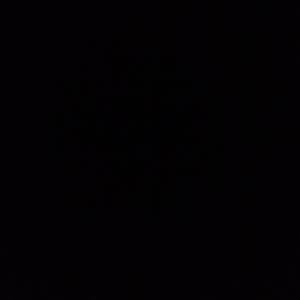 Meet your Posher, Fayruz